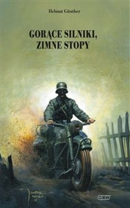 Gorące silniki, zimne stopy buy polish books in Usa