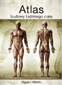 Atlas budowy ludzkiego ciała - Jordi Vigue