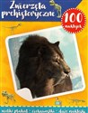 Zwierzęta prehistoryczne 100 naklejek pl online bookstore