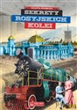 Sekrety rosyjskich kolei - Violetta Wiernicka books in polish
