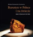 Bursztyn w Polsce i na świecie Amber in Poland and in the World - Barbara Kosmowska-Ceranowicz  