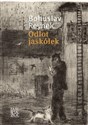 Odlot jaskółek Polish bookstore
