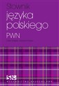 Słownik języka polskiego PWN buy polish books in Usa