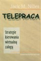 Telepraca Strategie kierowania wirtualną załogą Polish bookstore