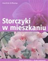 Storczyki w mieszkaniu  