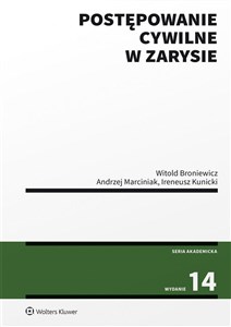 Postępowanie cywilne w zarysie buy polish books in Usa