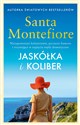 Jaskółka i koliber - Santa Montefiore