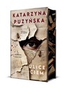 Ulice ciem (ilustrowane brzegi)  polish books in canada