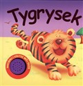Tygrysek chicago polish bookstore