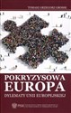 Pokryzysowa Europa Dylematy Unii Europejskiej - Polish Bookstore USA