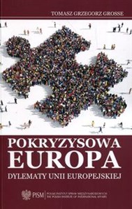 Pokryzysowa Europa Dylematy Unii Europejskiej - Polish Bookstore USA