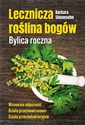 Lecznicza roślina bogów. Bylica roczna  polish usa