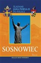 Sosnowiec Almanach Miast Papieskich Śladami Jana Pawła II po Polsce chicago polish bookstore