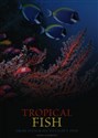 Tropical Fish From stingrays to clown fish pl online bookstore