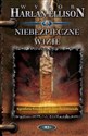 Niebezpieczne wizje   