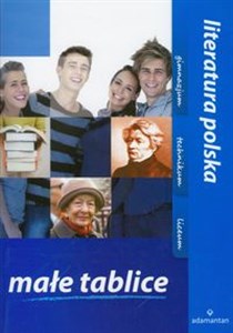 Małe tablice Literatura polska gimnazjum, liceum polish books in canada