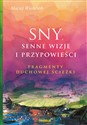 Sny Senne wizje i przypowieści fragmenty duchowej ścieżki to buy in Canada