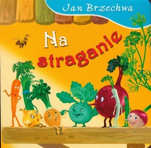 Na straganie polish books in canada