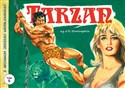 Z archiwum Jerzego Wróblewskiego 5 Tarzan i Skarb Tarzana - Jerzy Wróblewski Polish Books Canada