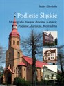 Podlesie Śląskie Monografia dziejów dzielnic Katowic: Podlesie, Zarzecze, Kostuchna 