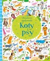 Obrazkowe zgadywanki Koty i psy polish books in canada