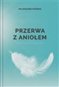 Chwila z aniołem medytacje w ciągu dnia - Hildegard Konig