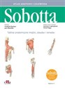Tablice anatomiczne mięśni, stawów i nerwów. Łacińskie mianownictwo Atlas anatomii człowieka Sobotta - F. Paulsen, J. Waschke