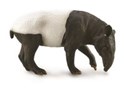 Tapir Czaprakowy - 