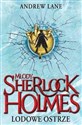 Młody Sherlock Holmes Lodowe ostrze polish usa