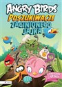 Angry Birds Poszukiwacze zaginionego jajka Polish bookstore