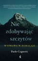 Nie zdobywając szczytów Wyprawa w Himalaje - Paolo Cognetti