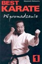 Best karate 1 Wprowadzenie to buy in USA