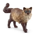 Kot ragdoll SLH13940  - 