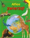 Atlas zwierząt polish books in canada