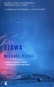 Zjawa - Michael Punke