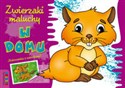 Zwierzaki maluchy W domu 