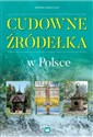 Cudowne źródełka w Polsce Bookshop
