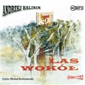 [Audiobook] Las wokół - Andrzej Kalinin