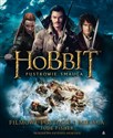Hobbit Pustkowie Smauga Filmowe postacie i miejsca buy polish books in Usa