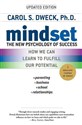 Mindset  Polish bookstore