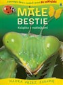 Małe Bestie Zadziwiające fakty o owadach i ponad 50 naklejek books in polish