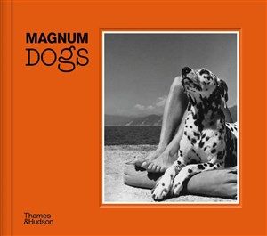 Magnum Dogs Bookshop