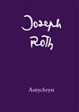 Antychryst  buy polish books in Usa