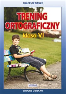 Trening ortograficzny Klasa 6 polish usa