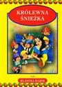 Królewna Śnieżka Polish Books Canada