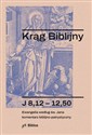 Krąg Biblijny Ewangelia według św. Jana komentarz biblijno-patrystyczny polish usa