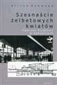 Szesnaście żelbetowych kwiatów Dworzec kolejowy w Katowicach - Alicja Gzowska