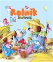 Rolnik Mateusz online polish bookstore