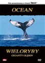 Ocean: Wieloryby, giganty głębin   