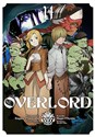 Overlord. Tom 14 buy polish books in Usa